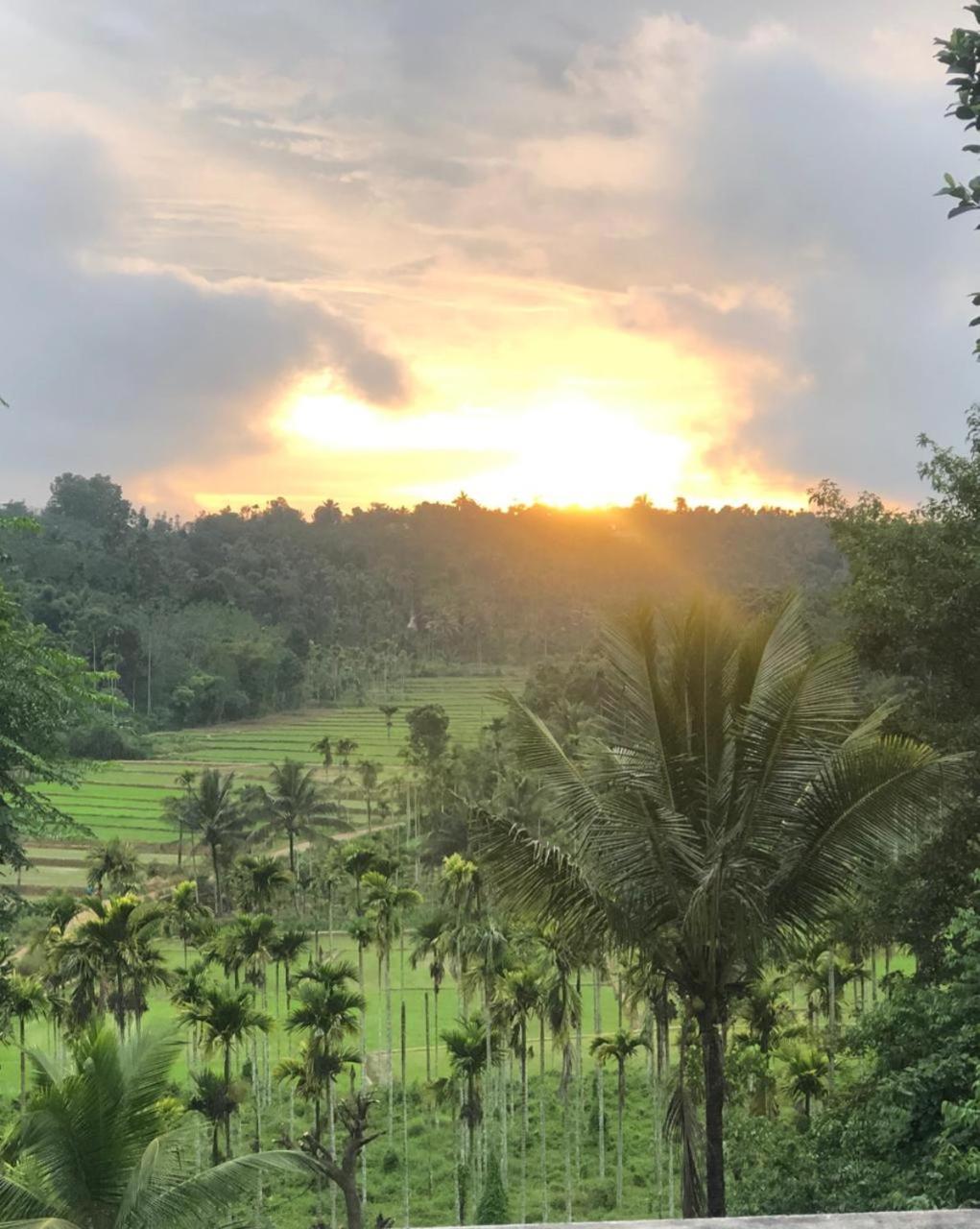 Angels Nest Home Stay 2 Acra Private Plantation Mountain Area Balconey Sunrice View Nearby Ngarhole Wild Life , Tholpetty Wild Life , Pakshipathalam Bird Santuary , Kuruva Island # Thirunelly & Thrissilery Temple Near By Secure Stay Wayanad Kerala Chegat Экстерьер фото